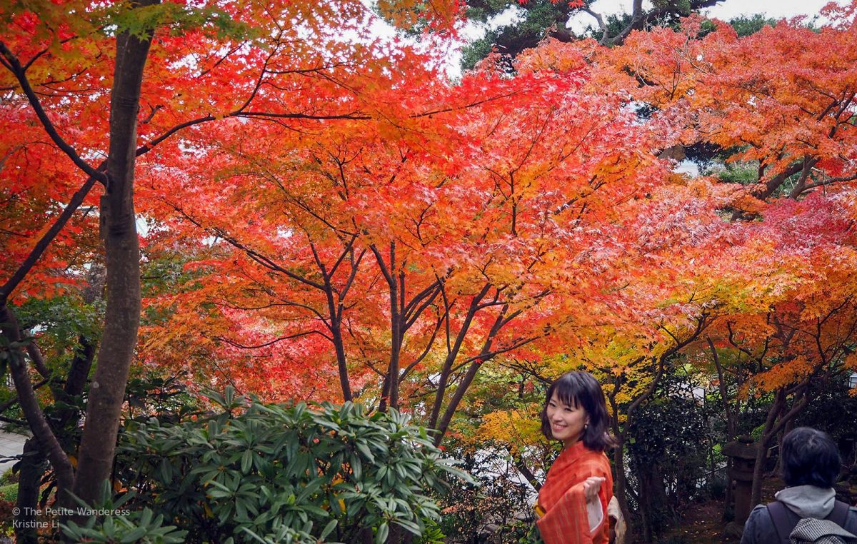 Kamakura Day Trip in autumn • The Petite Wanderess