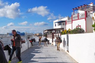 donkeys at Oia | Santorini in shades of blue & white • The Petite Wanderess