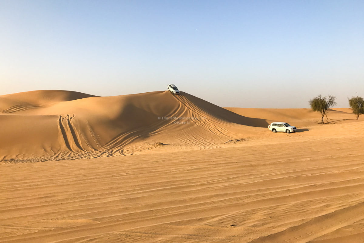 Abu Dhabi desert safari review • The Petite Wanderess