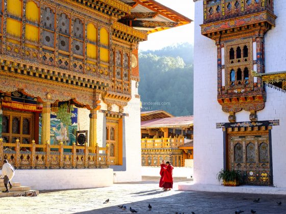 monks at Punakha Dzong | All Your First-World Questions about a Bhutan Trip, Answered! • The Petite Wanderess