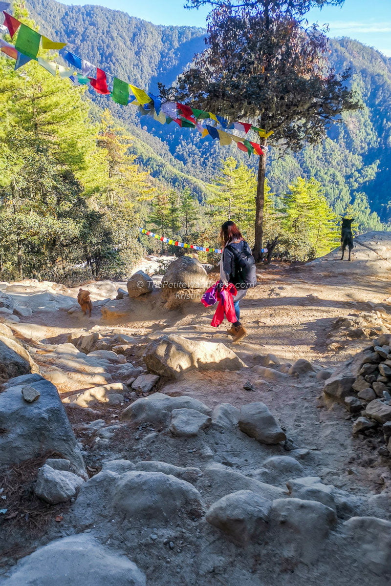 terrain in Dec | Hike to Tiger's Nest, Bhutan • The Petite Wanderess