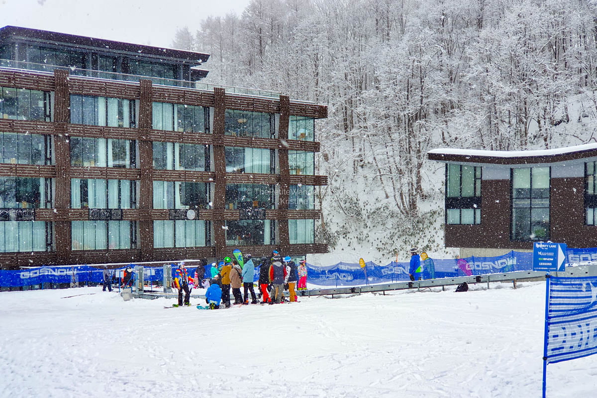 What to Know for Your Niseko Ski Trip • The Petite Wanderess