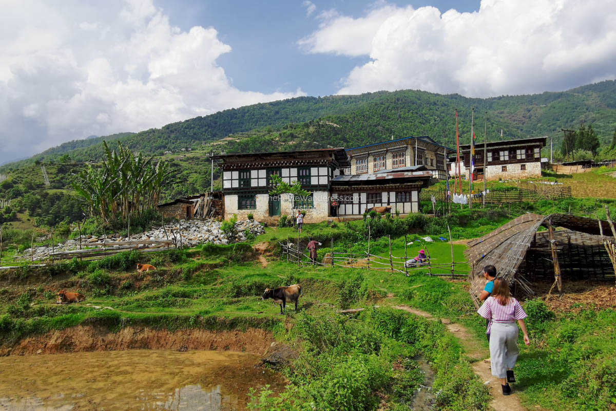 Eastern Bhutan road trip photos • The Petite Wanderess